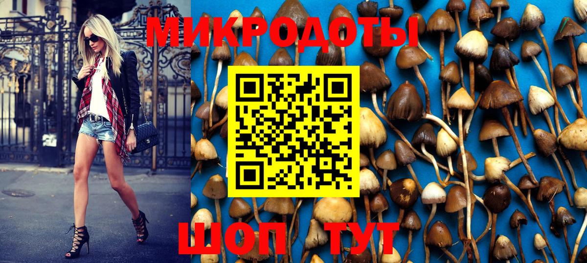 Галлюциногенные грибы Psilocybine cubensis Узловая