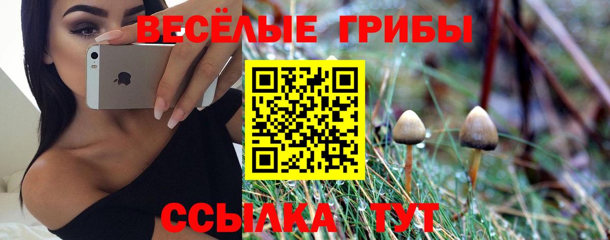 Узловая  Галлюциногенные грибы Psilocybine cubensis  Вход с VPN 